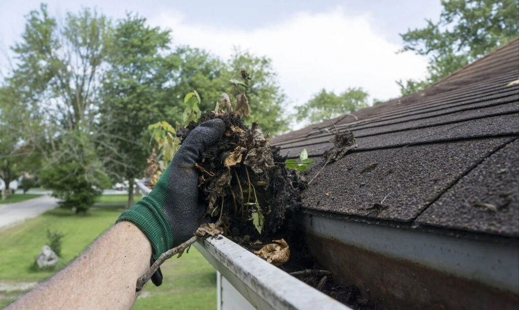 Gutter Cleaning Gutter Cleaning